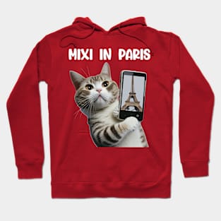 Mixi in Paris gay Paree funny cat Hoodie